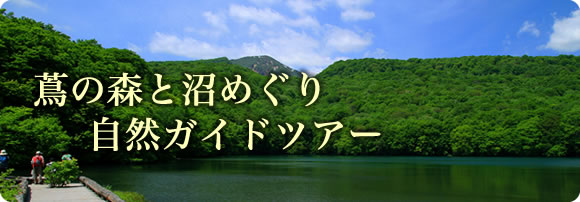 蔦の森と沼めぐり 自然ガイドツアー