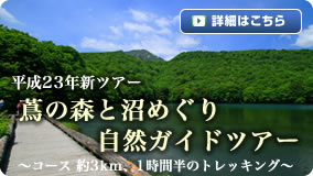 蔦の森と沼めぐり自然ガイドツアー