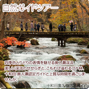 自然ガイドツアー 四季色とりどりの表情を魅せる奥入瀬渓流
